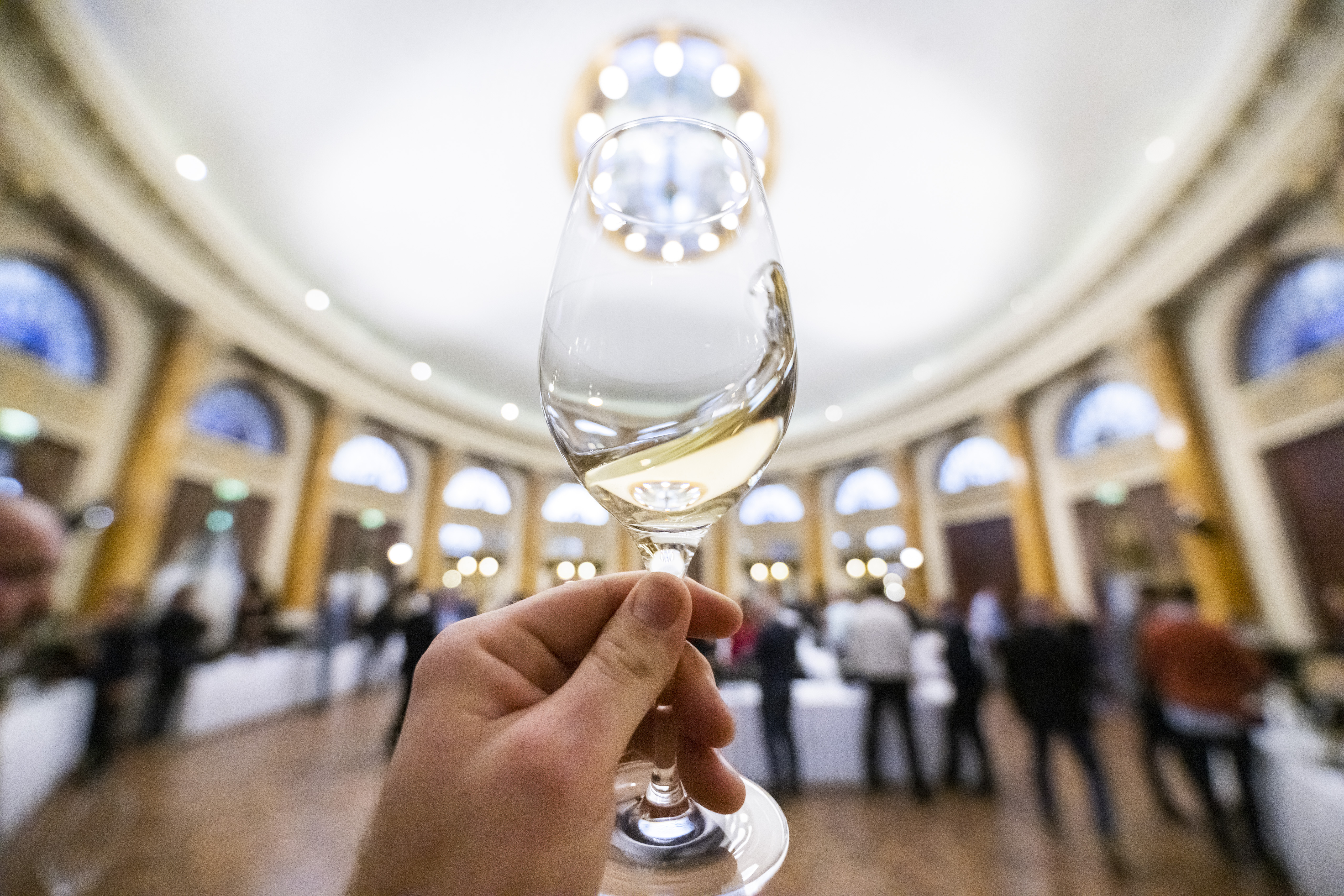 Vinistra najavljuje 11. premijerno kušanje mladih malvazija u Zagrebu